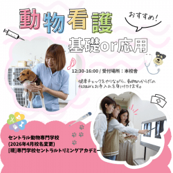 動物看護『基礎』または『応用』体験
