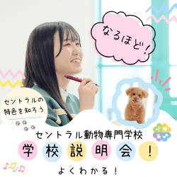 学校説明会